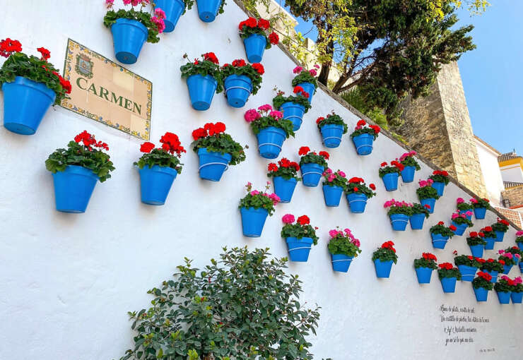 Marbella Old Town Flowers