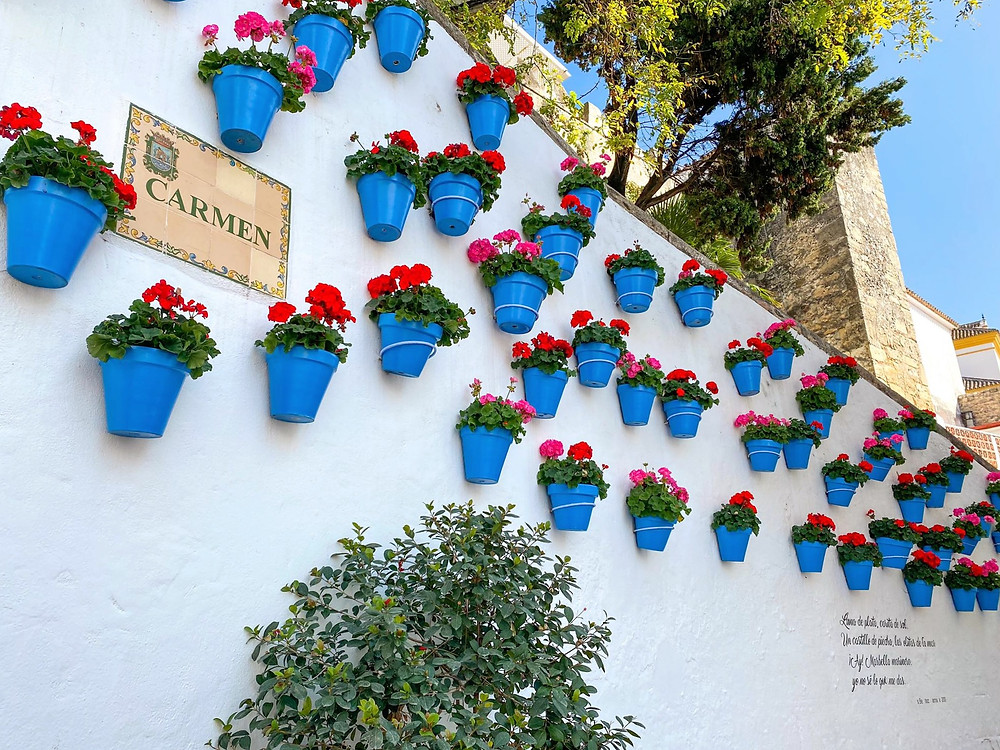 Marbella Old Town Flowers